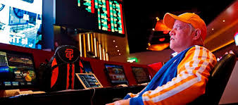 Официальный сайт Magnet Casino